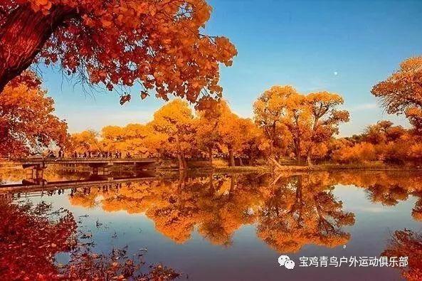 山西省芮城县发布大风蓝色预警