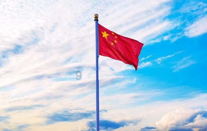 孤独的流浪者救援