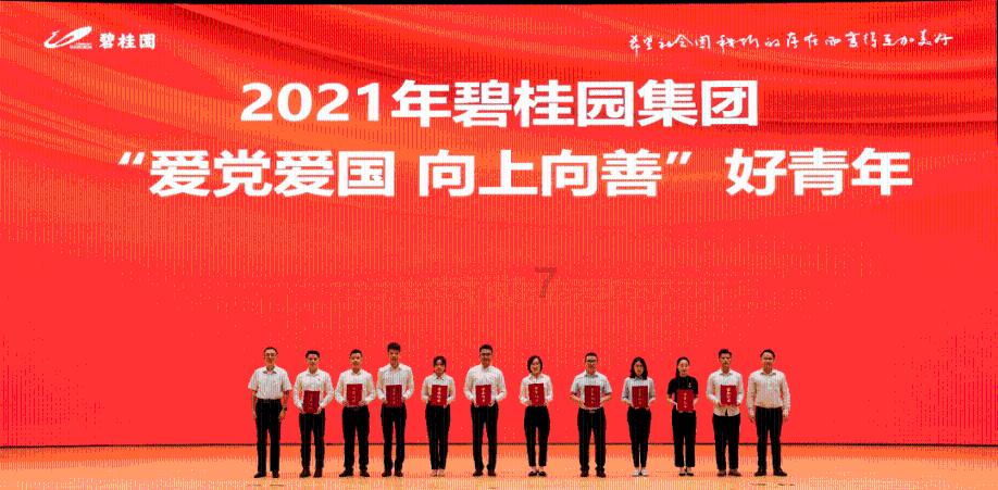 破碎的动物图形2